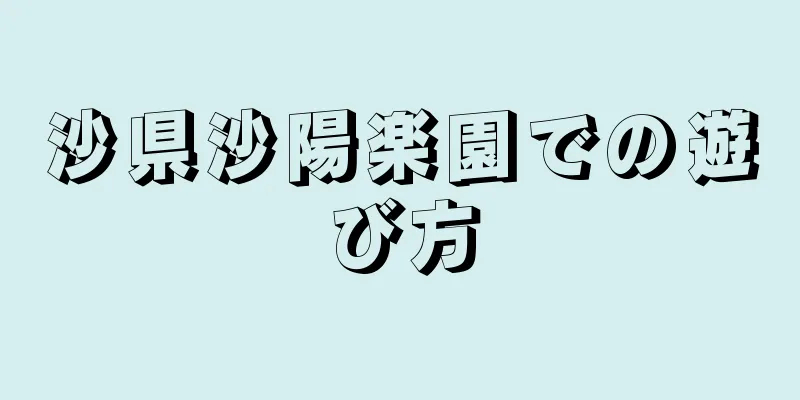 沙県沙陽楽園での遊び方