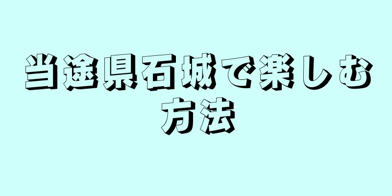当途県石城で楽しむ方法