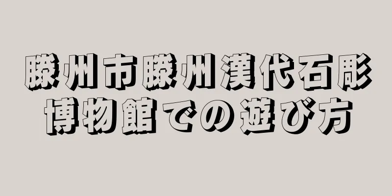 滕州市滕州漢代石彫博物館での遊び方