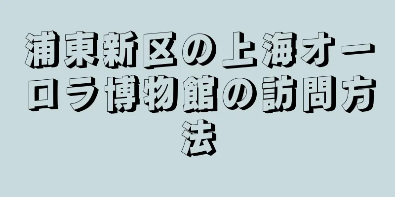 浦東新区の上海オーロラ博物館の訪問方法