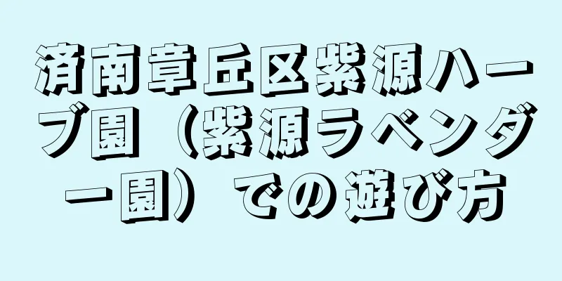 済南章丘区紫源ハーブ園（紫源ラベンダー園）での遊び方