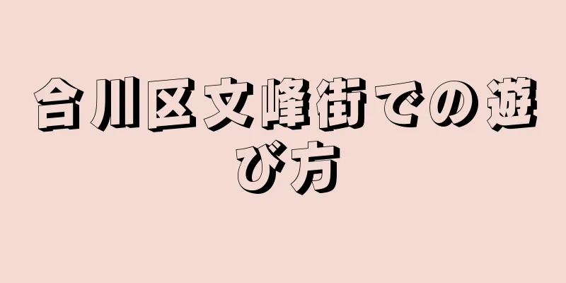 合川区文峰街での遊び方