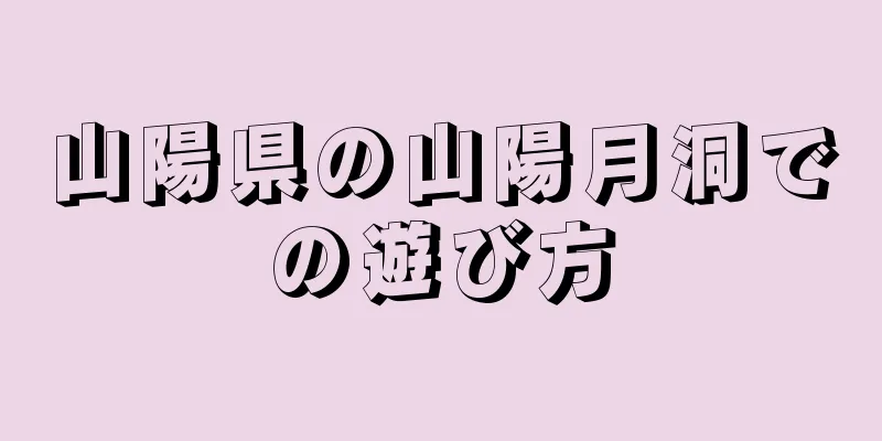 山陽県の山陽月洞での遊び方