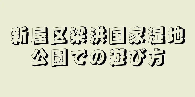 新屋区梁洪国家湿地公園での遊び方