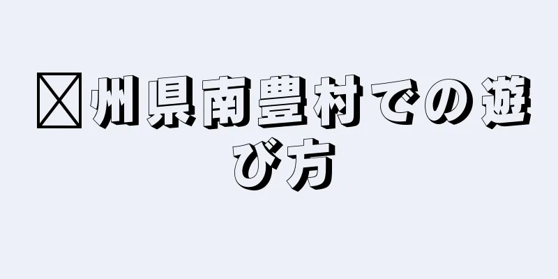 淄州県南豊村での遊び方