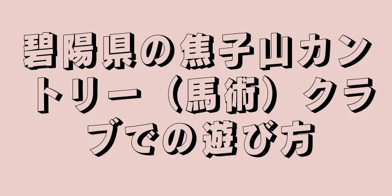 碧陽県の焦子山カントリー（馬術）クラブでの遊び方