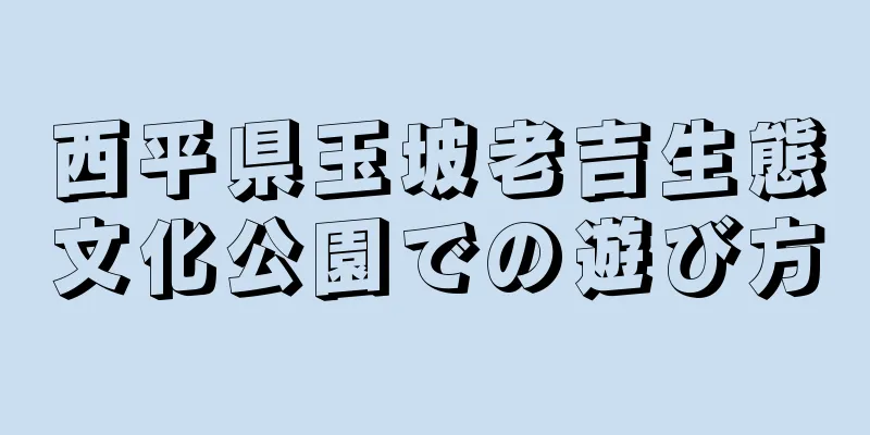 西平県玉坡老吉生態文化公園での遊び方