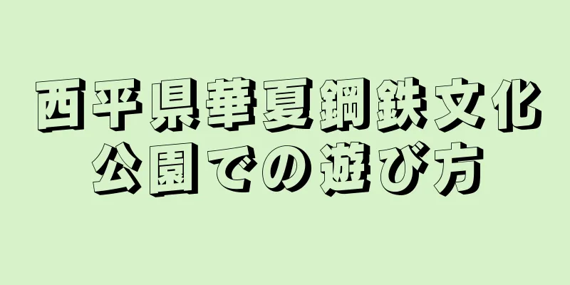 西平県華夏鋼鉄文化公園での遊び方