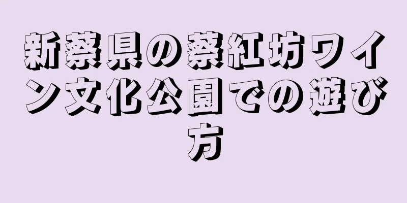 新蔡県の蔡紅坊ワイン文化公園での遊び方