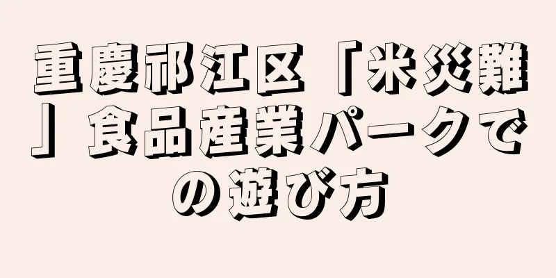 重慶祁江区「米災難」食品産業パークでの遊び方