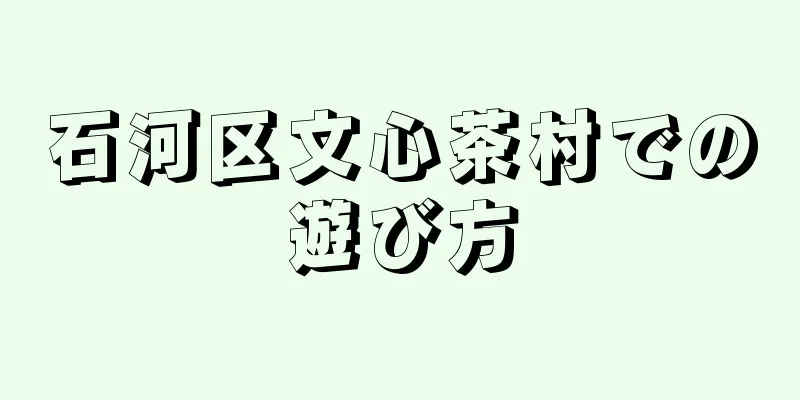 石河区文心茶村での遊び方