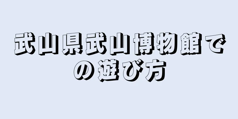武山県武山博物館での遊び方