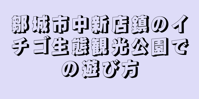 鄒城市中新店鎮のイチゴ生態観光公園での遊び方