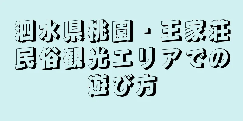 泗水県桃園・王家荘民俗観光エリアでの遊び方