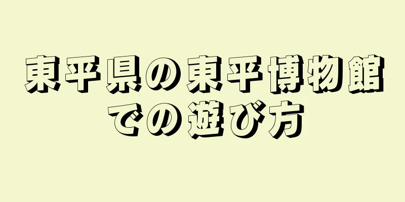 東平県の東平博物館での遊び方