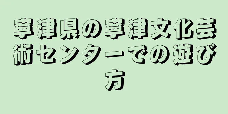 寧津県の寧津文化芸術センターでの遊び方