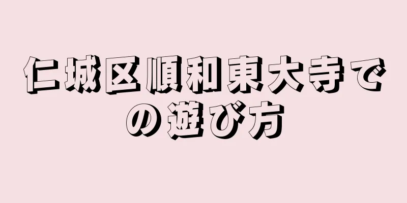 仁城区順和東大寺での遊び方
