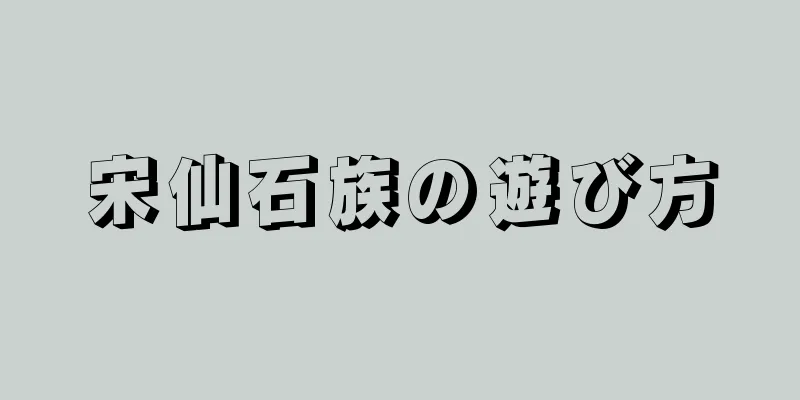宋仙石族の遊び方