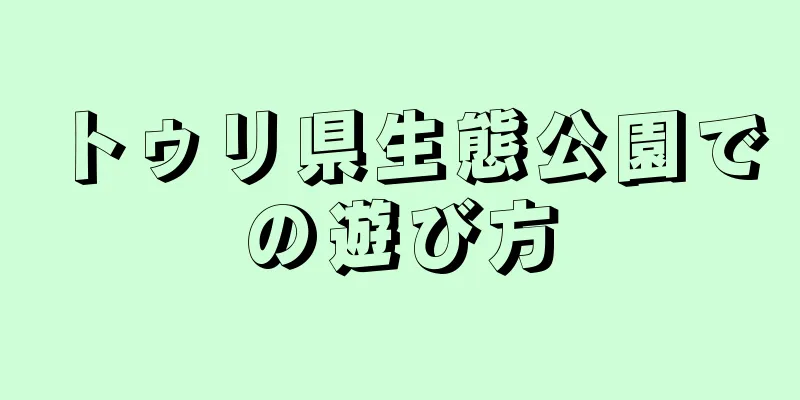 トゥリ県生態公園での遊び方