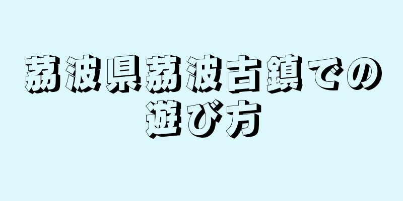 茘波県茘波古鎮での遊び方