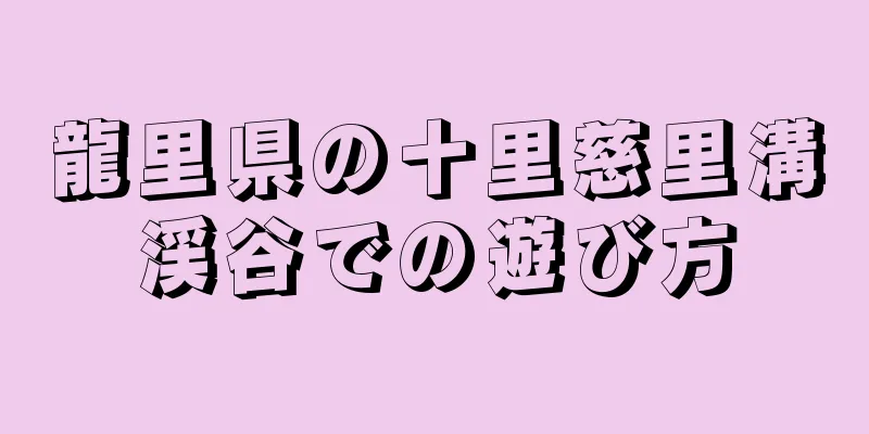 龍里県の十里慈里溝渓谷での遊び方