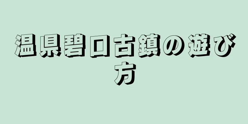 温県碧口古鎮の遊び方