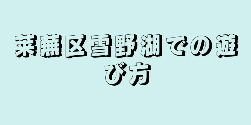 莱蕪区雪野湖での遊び方