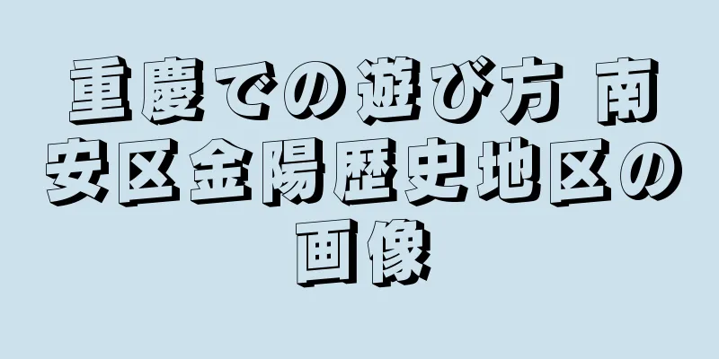 重慶での遊び方 南安区金陽歴史地区の画像