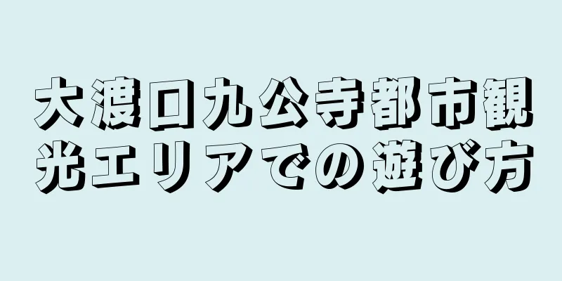 大渡口九公寺都市観光エリアでの遊び方