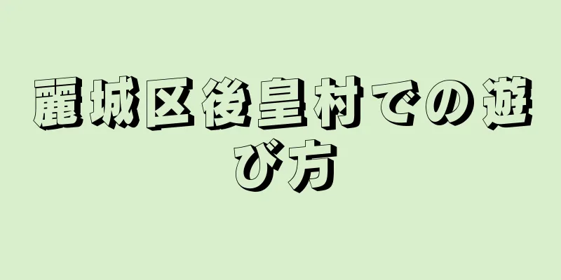 麗城区後皇村での遊び方