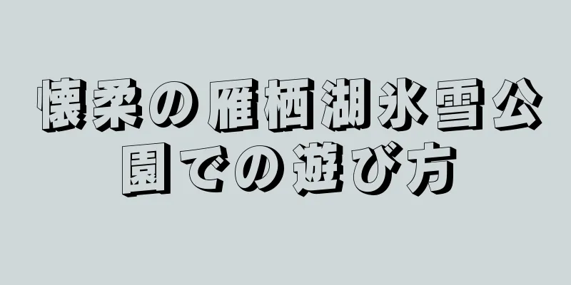 懐柔の雁栖湖氷雪公園での遊び方