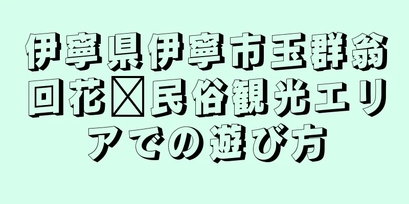 伊寧県伊寧市玉群翁回花尔民俗観光エリアでの遊び方