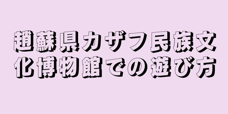 趙蘇県カザフ民族文化博物館での遊び方
