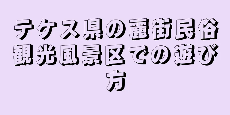 テケス県の麗街民俗観光風景区での遊び方