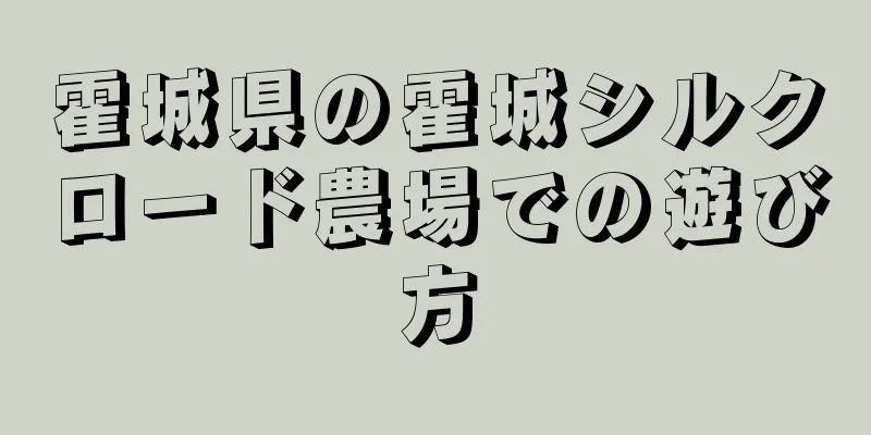 霍城県の霍城シルクロード農場での遊び方