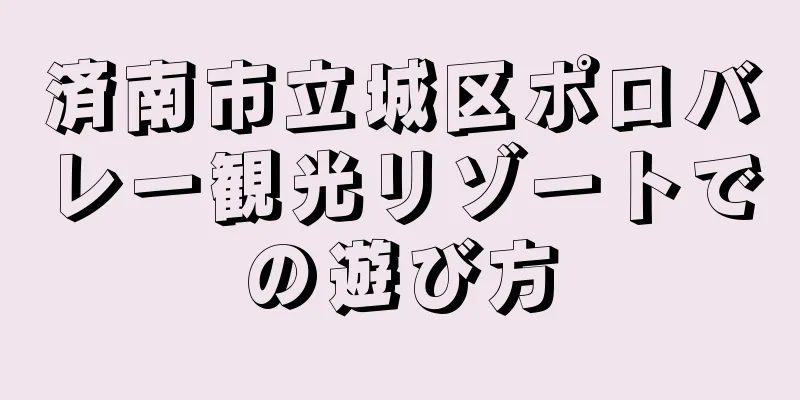 済南市立城区ポロバレー観光リゾートでの遊び方