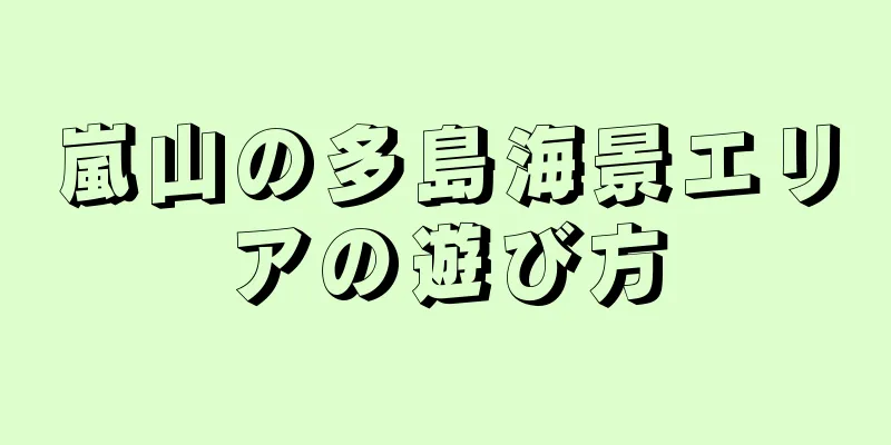 嵐山の多島海景エリアの遊び方