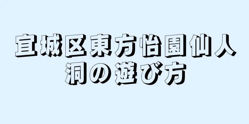 宜城区東方怡園仙人洞の遊び方