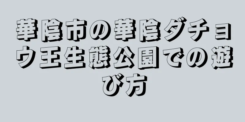 華陰市の華陰ダチョウ王生態公園での遊び方