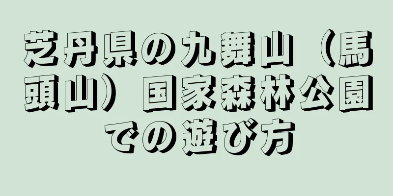 芝丹県の九舞山（馬頭山）国家森林公園での遊び方