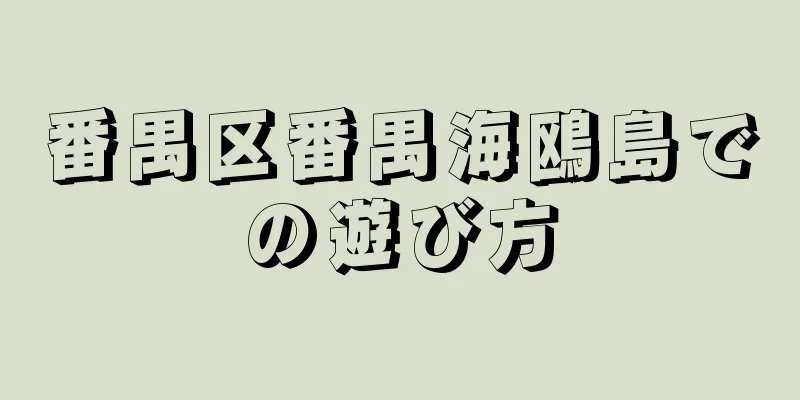 番禺区番禺海鴎島での遊び方