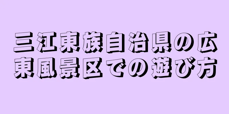 三江東族自治県の広東風景区での遊び方