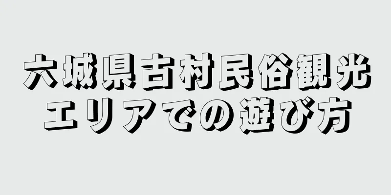 六城県古村民俗観光エリアでの遊び方
