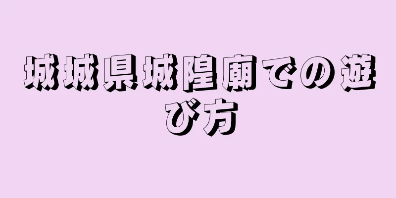 城城県城隍廟での遊び方