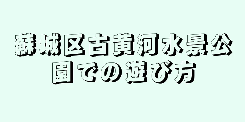 蘇城区古黄河水景公園での遊び方