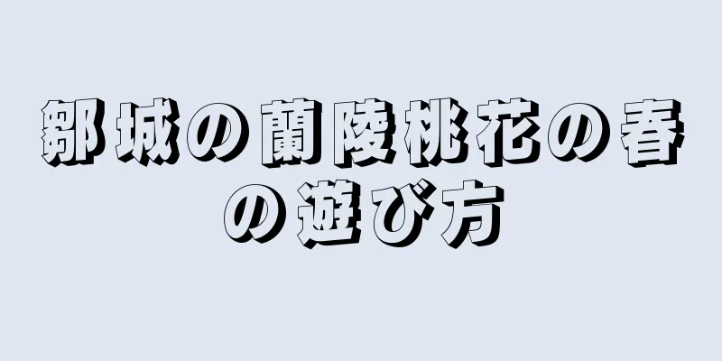 鄒城の蘭陵桃花の春の遊び方