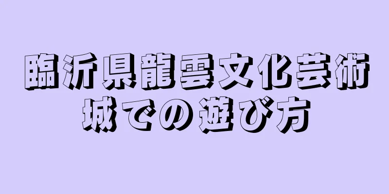 臨沂県龍雲文化芸術城での遊び方