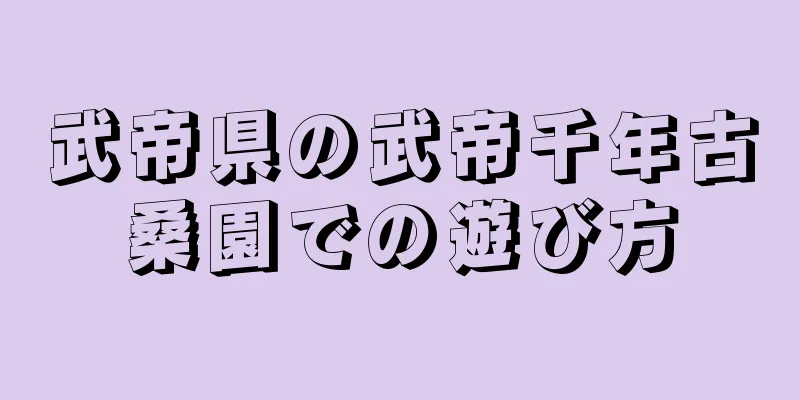 武帝県の武帝千年古桑園での遊び方