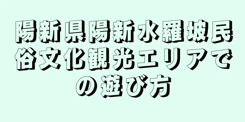 陽新県陽新水羅坡民俗文化観光エリアでの遊び方