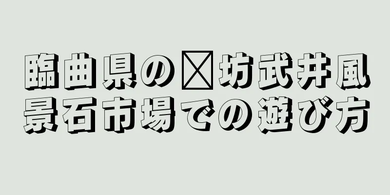 臨曲県の濰坊武井風景石市場での遊び方